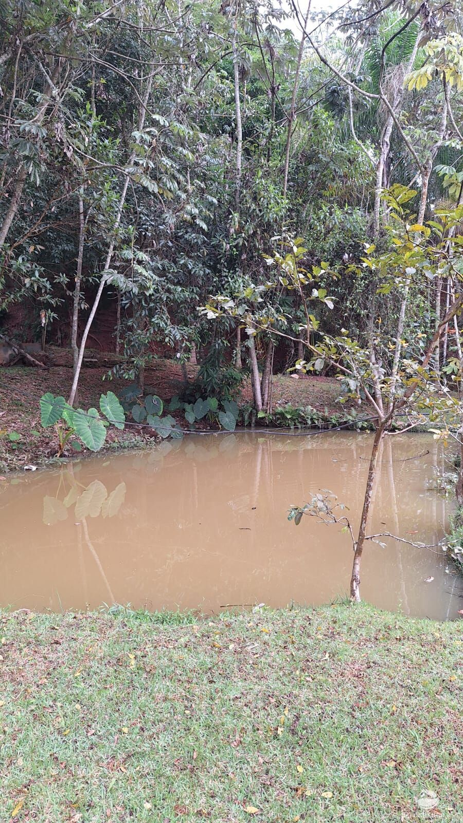 Sítio, 3 quartos, 4 hectares - Foto 30