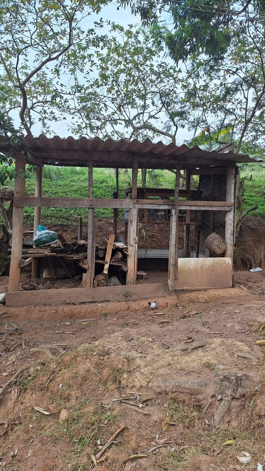 Sítio, 3 quartos, 4 hectares - Foto 19