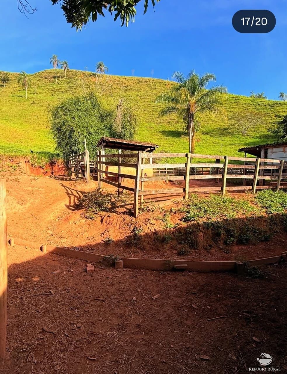 Sítio, 3 quartos, 4 hectares - Foto 8