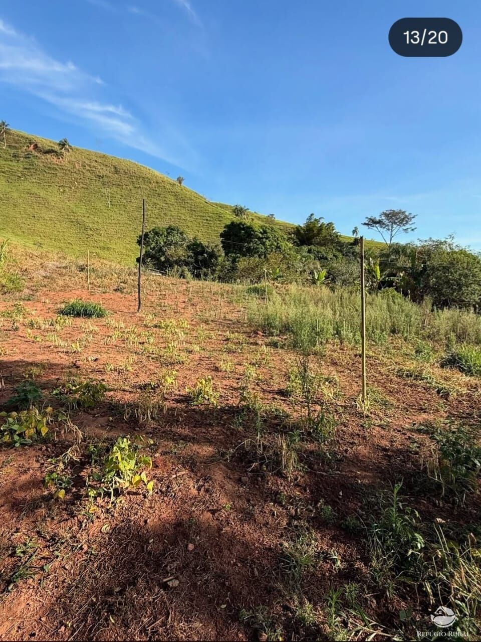 Sítio, 3 quartos, 4 hectares - Foto 11