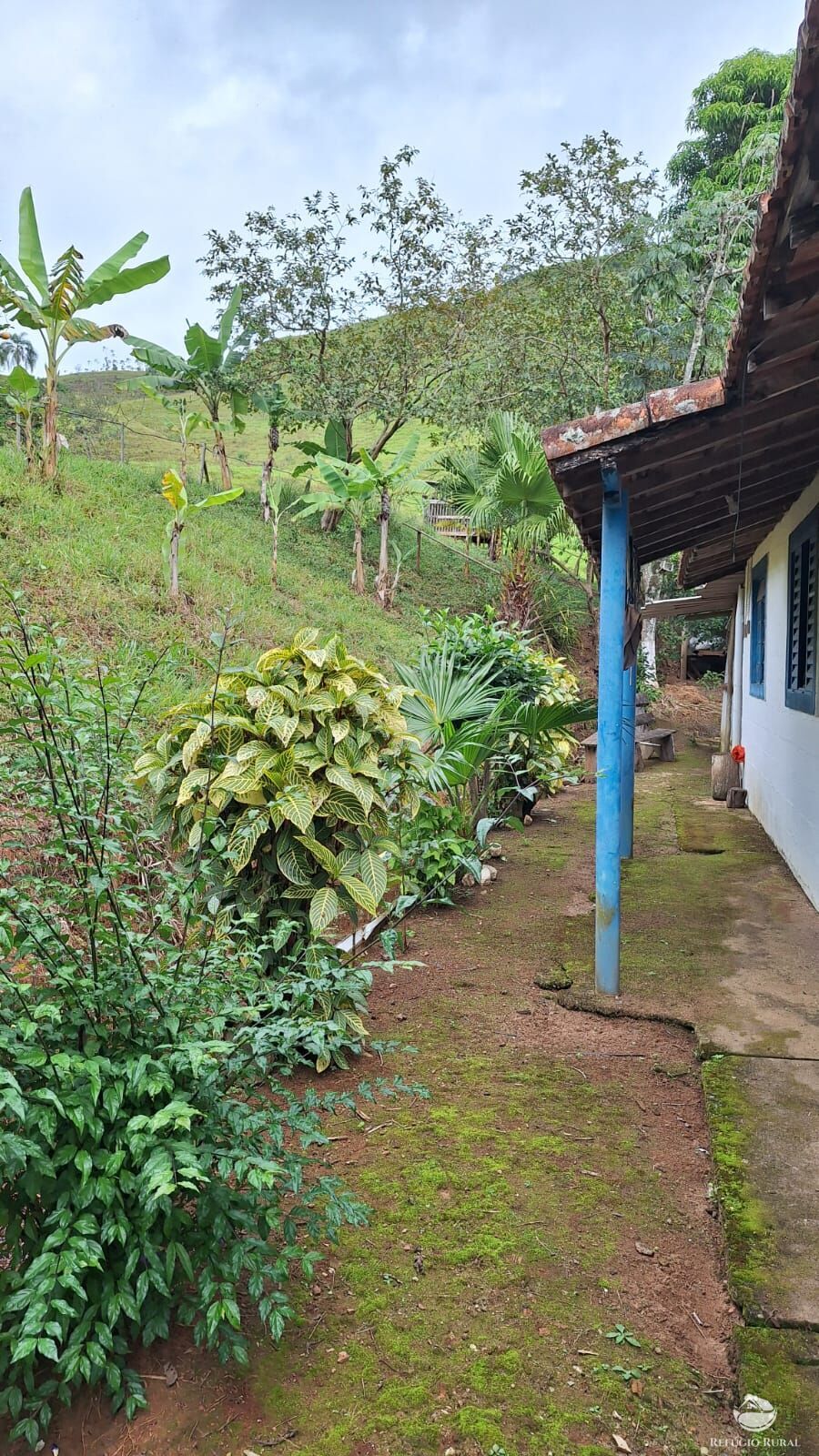 Sítio, 3 quartos, 4 hectares - Foto 22