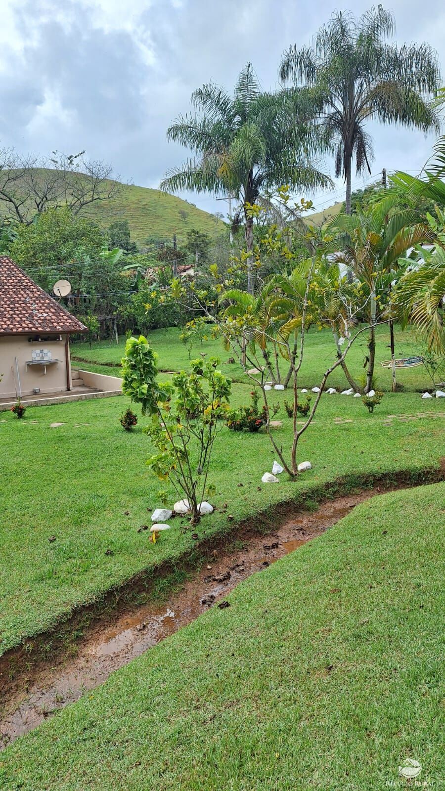 Sítio, 3 quartos, 4 hectares - Foto 31