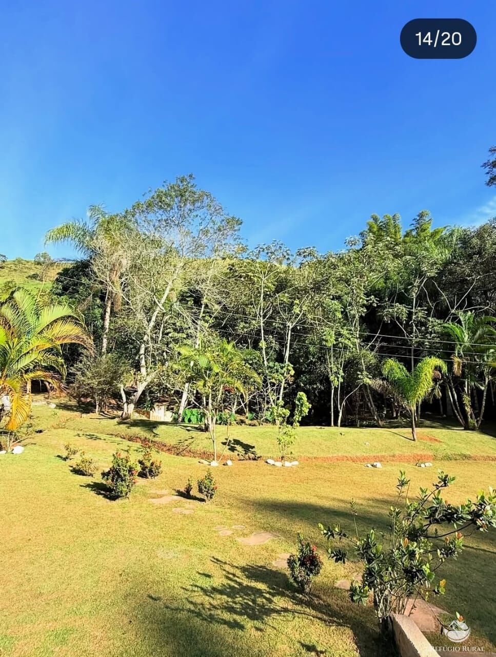 Sítio, 3 quartos, 4 hectares - Foto 4