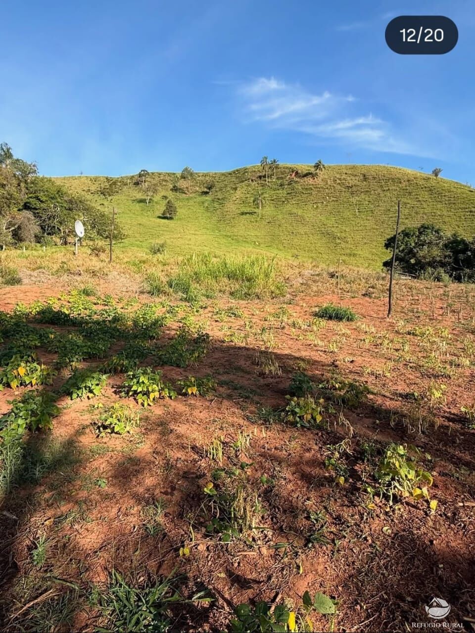 Sítio, 3 quartos, 4 hectares - Foto 10