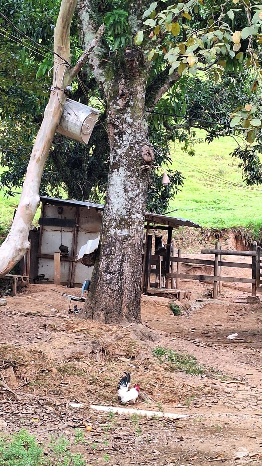 Sítio, 3 quartos, 4 hectares - Foto 26