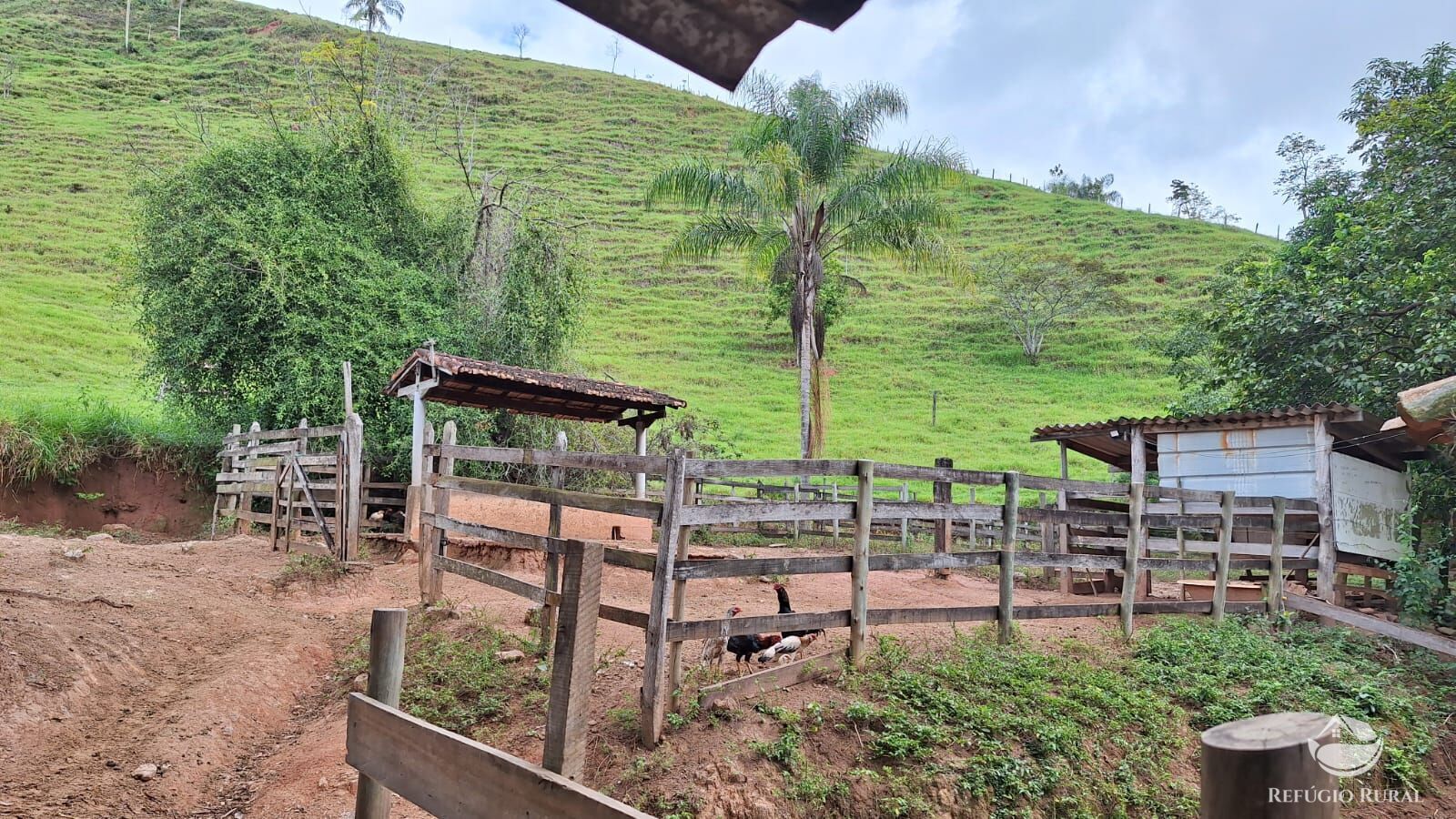 Sítio, 3 quartos, 4 hectares - Foto 12