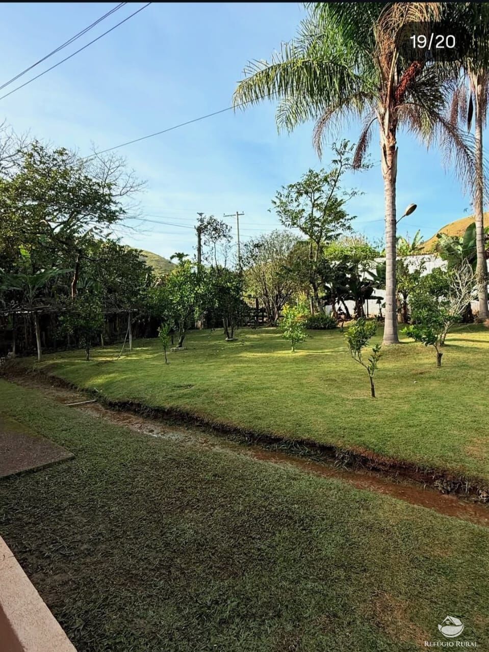 Sítio, 3 quartos, 4 hectares - Foto 5