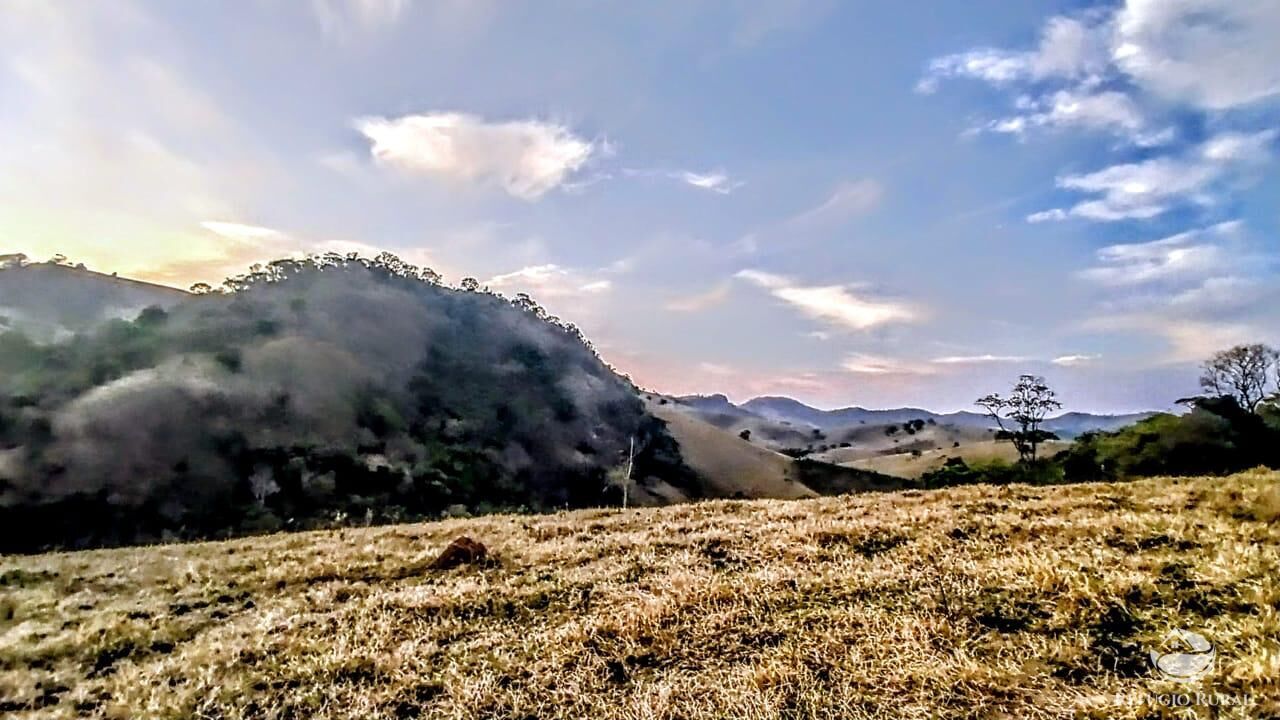 Terreno, 5 hectares - Foto 3