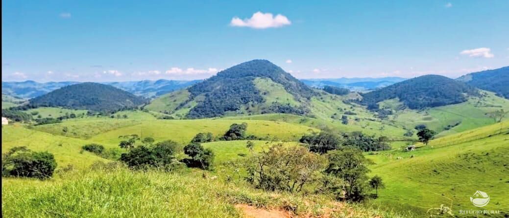 Terreno, 5 hectares - Foto 2