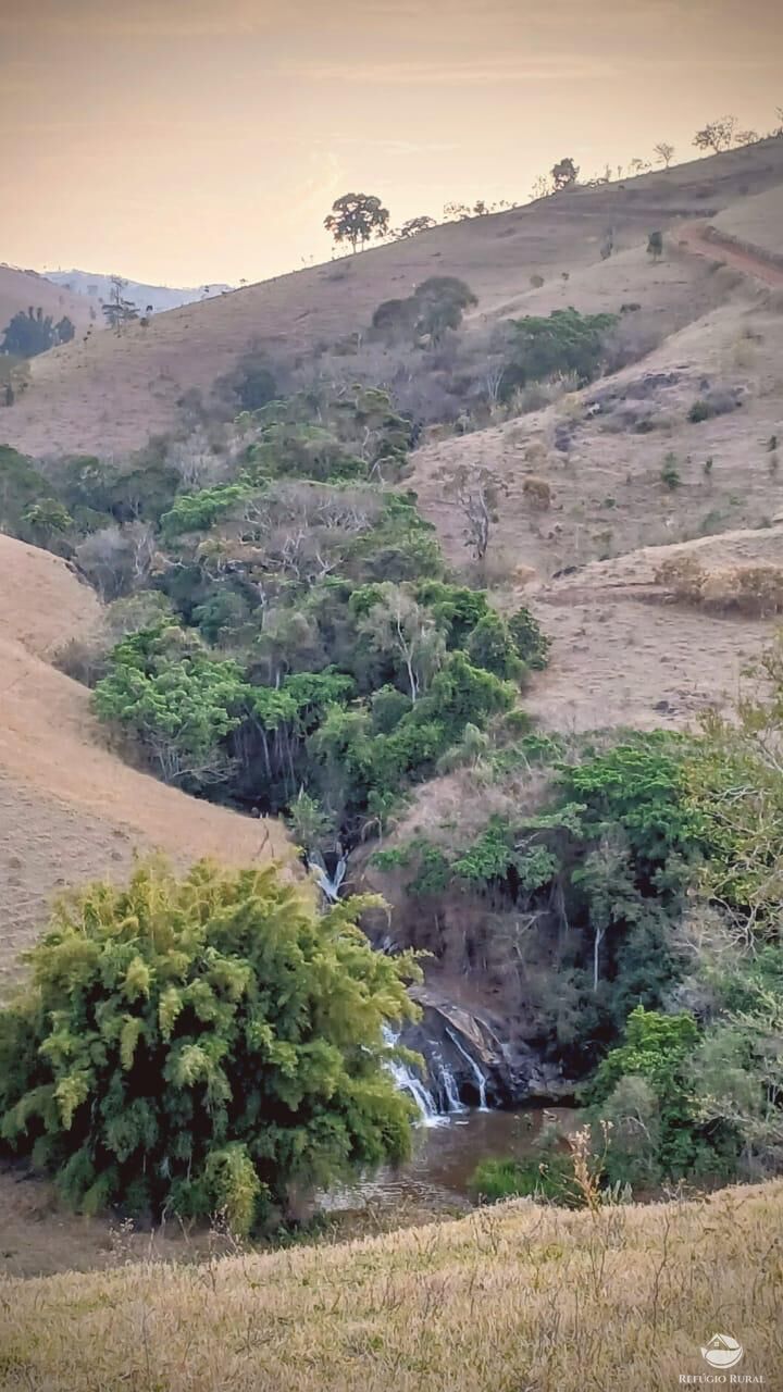 Terreno, 5 hectares - Foto 4