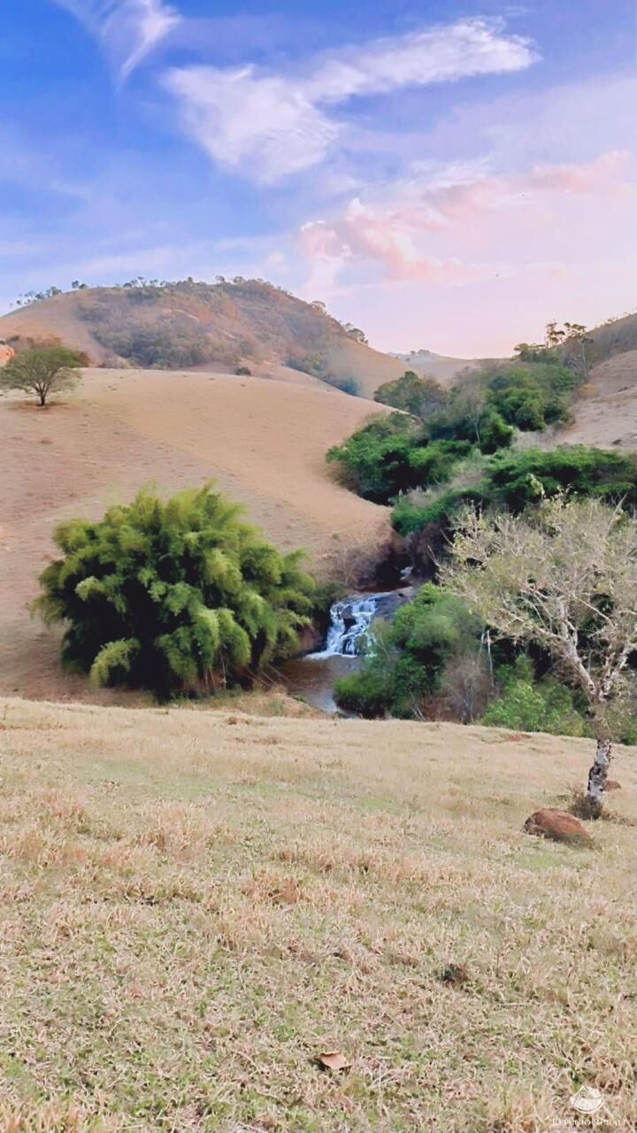 Terreno, 5 hectares - Foto 7