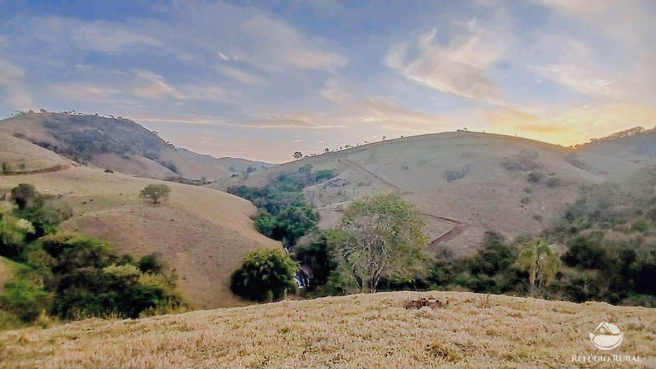 Terreno, 5 hectares - Foto 1