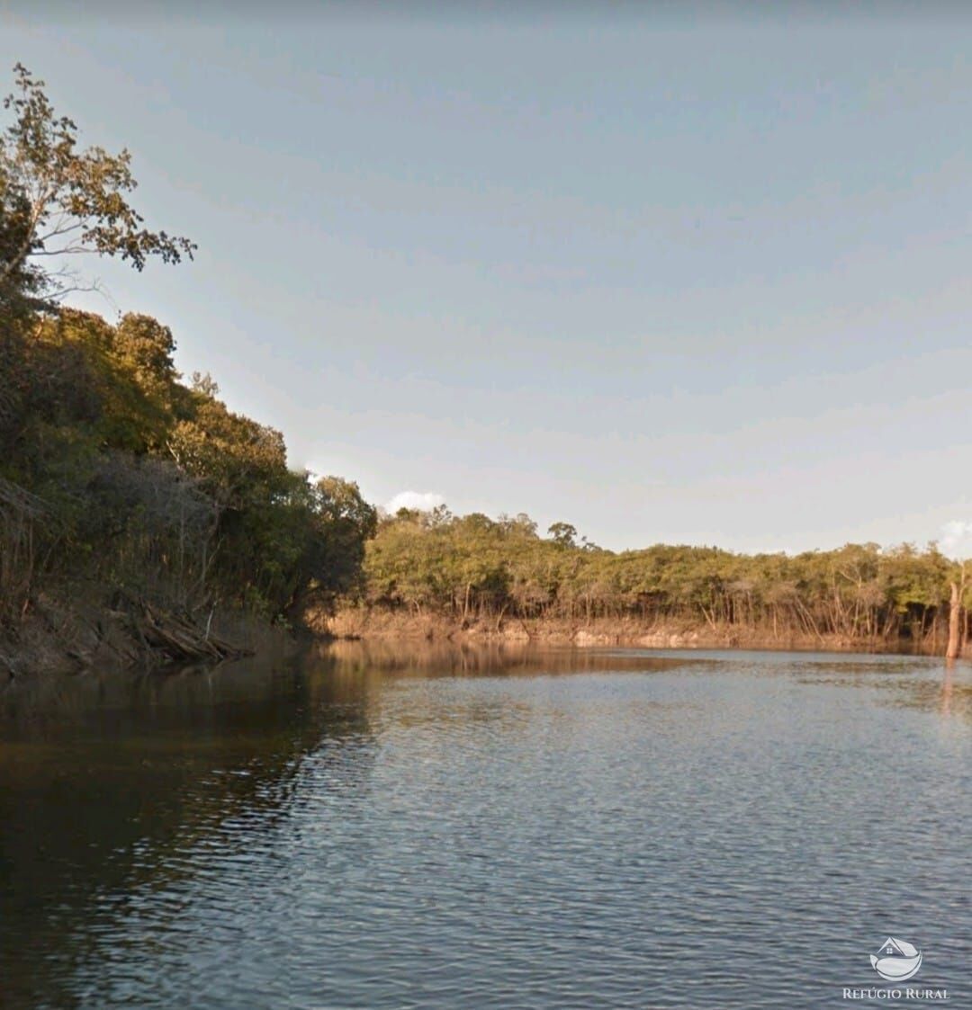 Fazenda à venda com 1 quarto, 5498620000m² - Foto 3