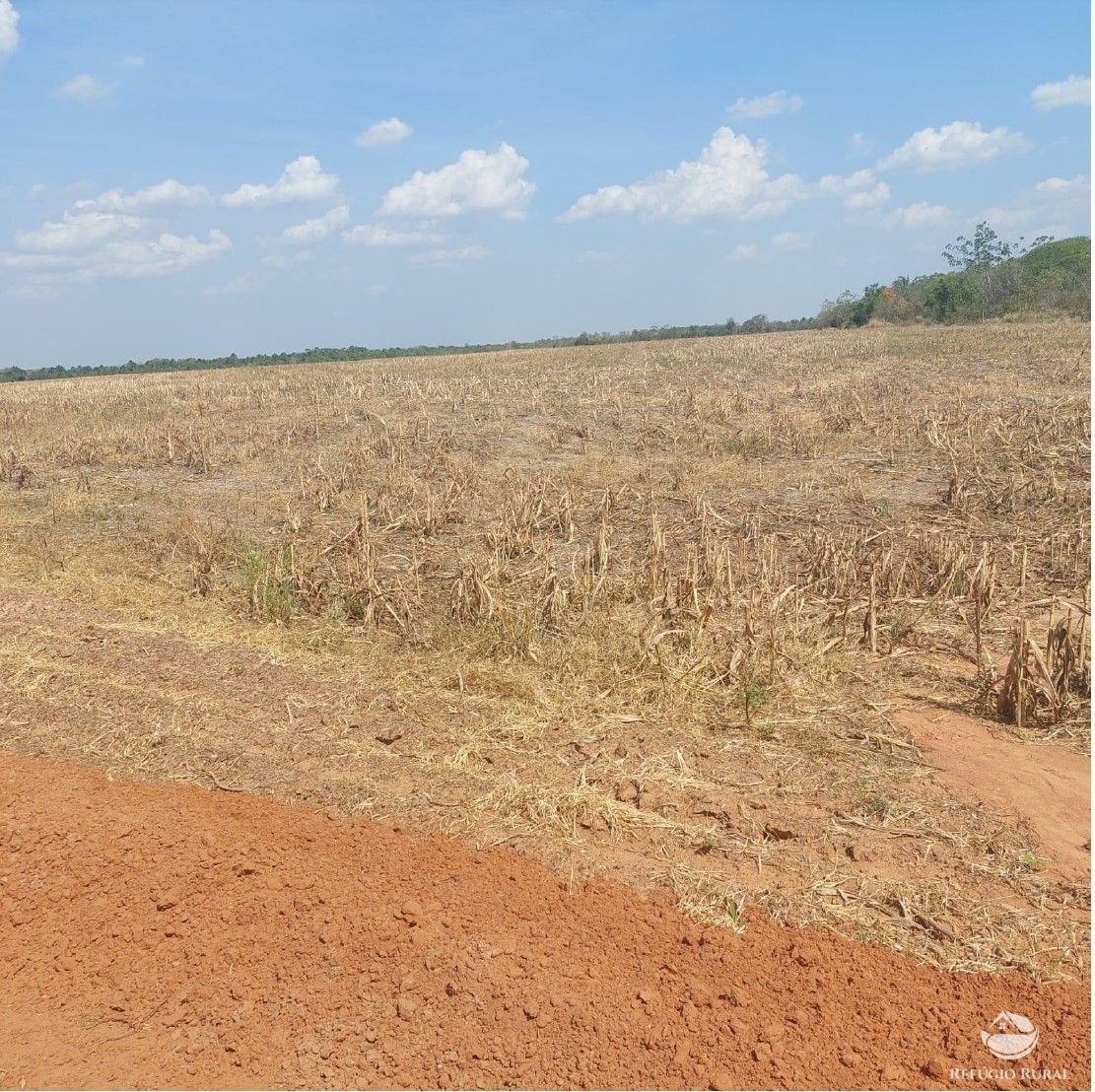 Fazenda à venda com 2 quartos, 23950000m² - Foto 10