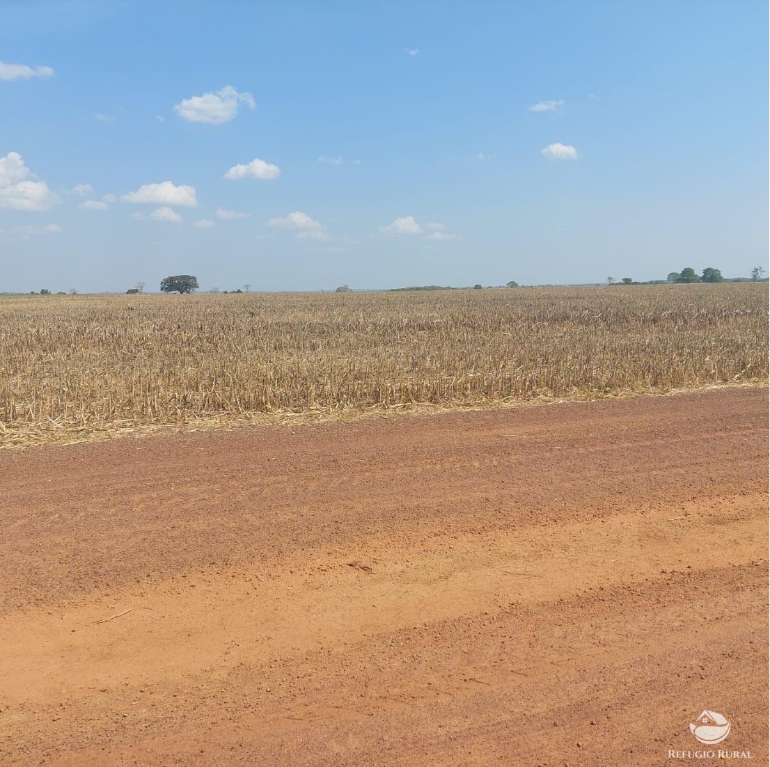 Fazenda à venda com 2 quartos, 23950000m² - Foto 9