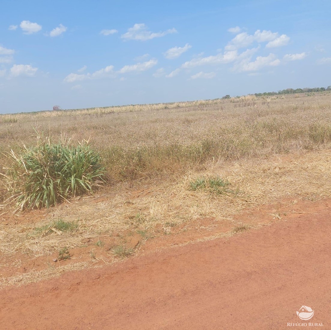 Fazenda à venda com 2 quartos, 23950000m² - Foto 2