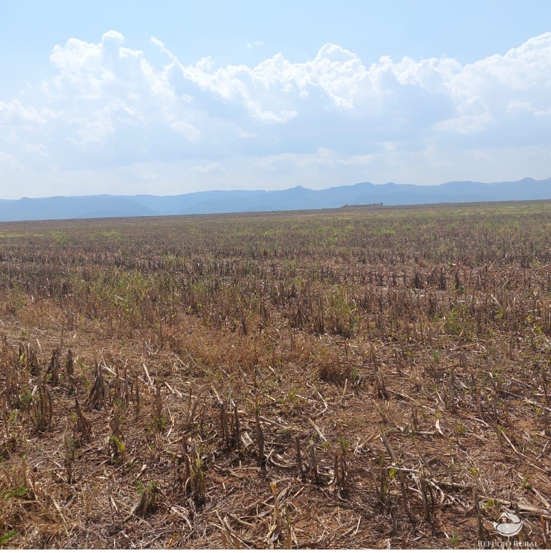 Fazenda à venda com 2 quartos, 23950000m² - Foto 6