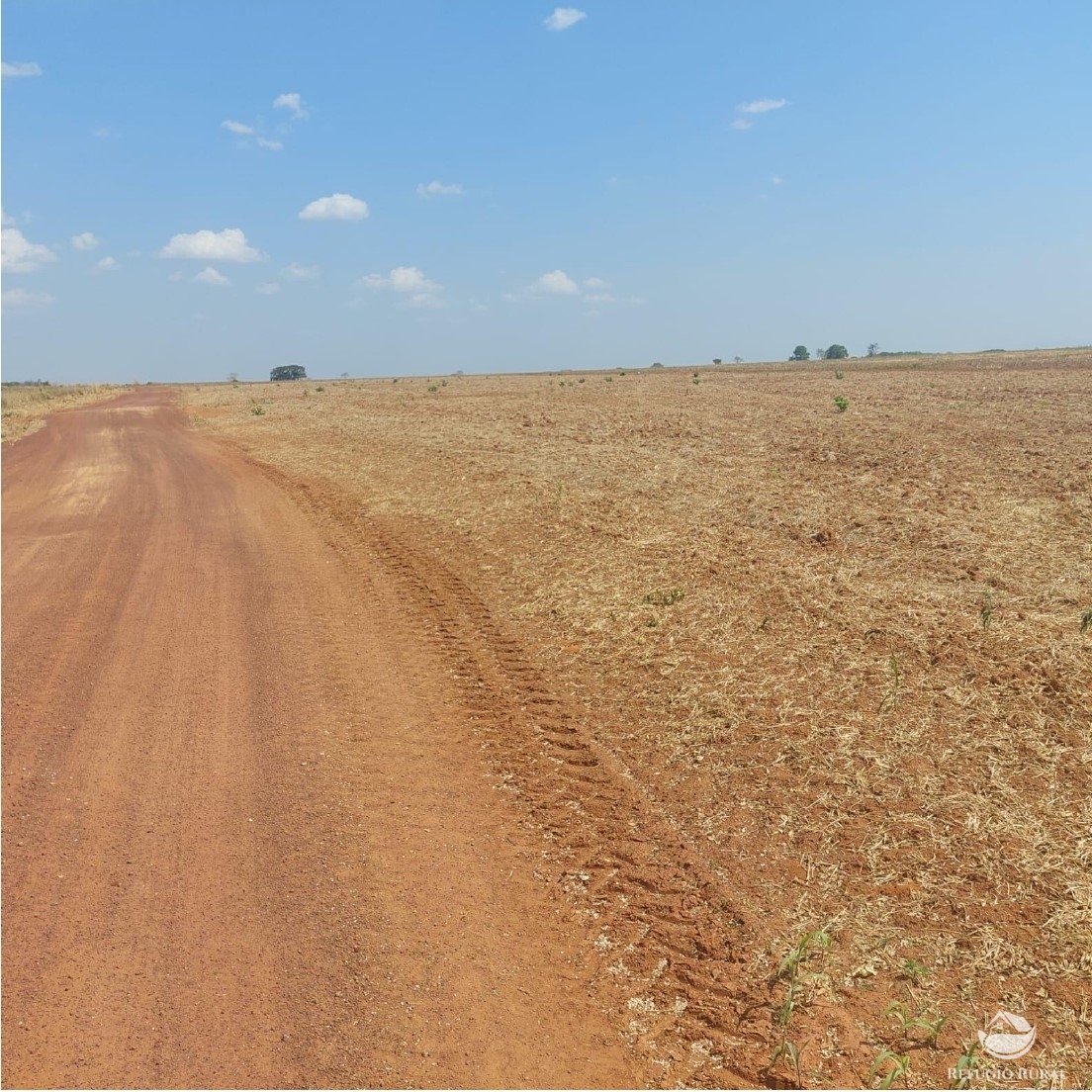 Fazenda à venda com 2 quartos, 23950000m² - Foto 8