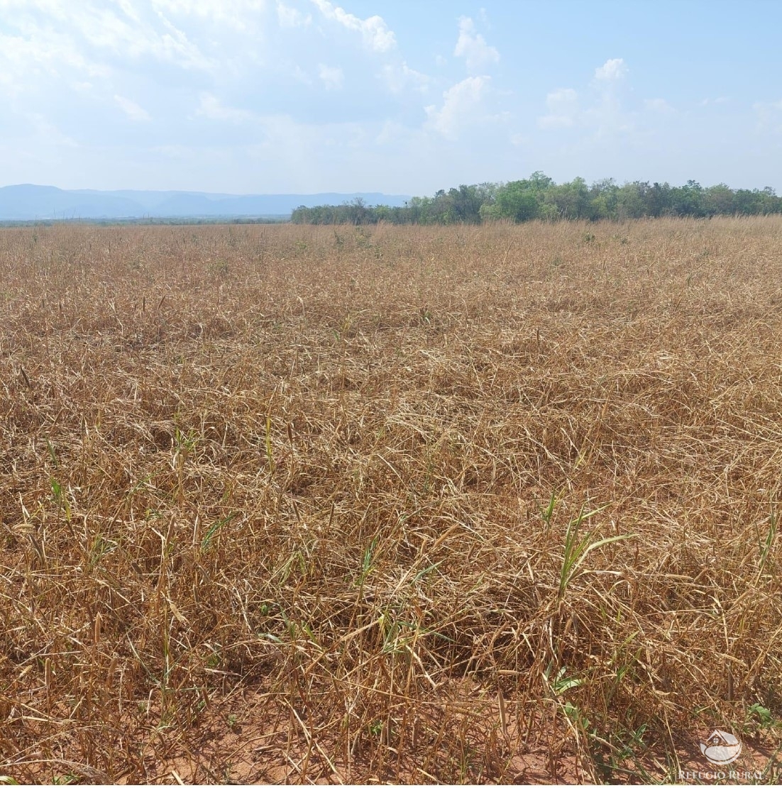 Fazenda à venda com 2 quartos, 23950000m² - Foto 1