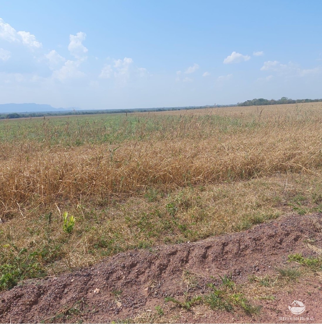 Fazenda à venda com 2 quartos, 23950000m² - Foto 3