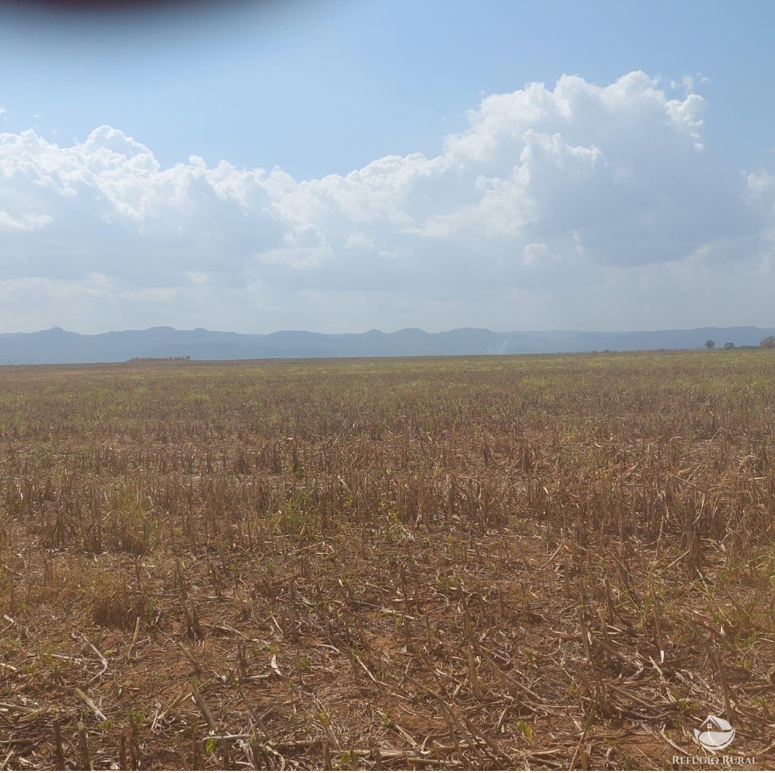 Fazenda à venda com 2 quartos, 23950000m² - Foto 5