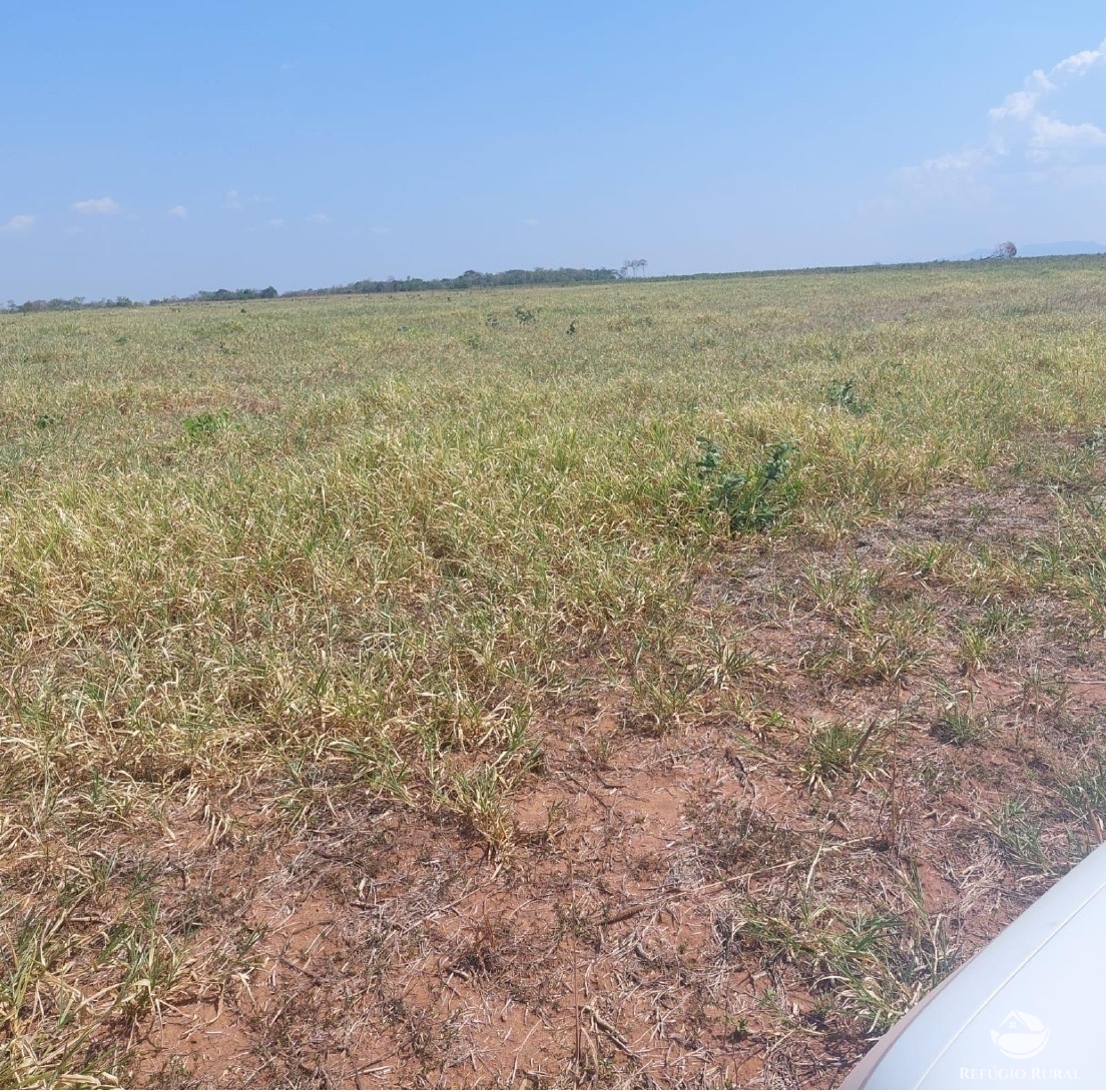 Fazenda à venda com 2 quartos, 23950000m² - Foto 4