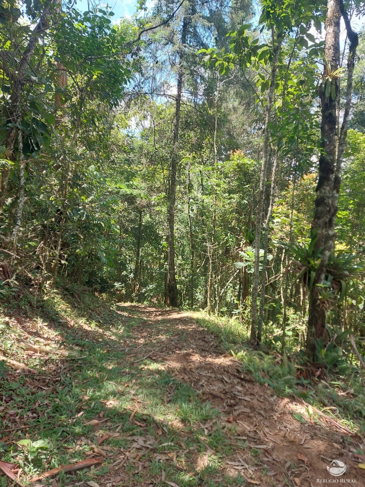 Fazenda à venda com 3 quartos, 83000m² - Foto 9