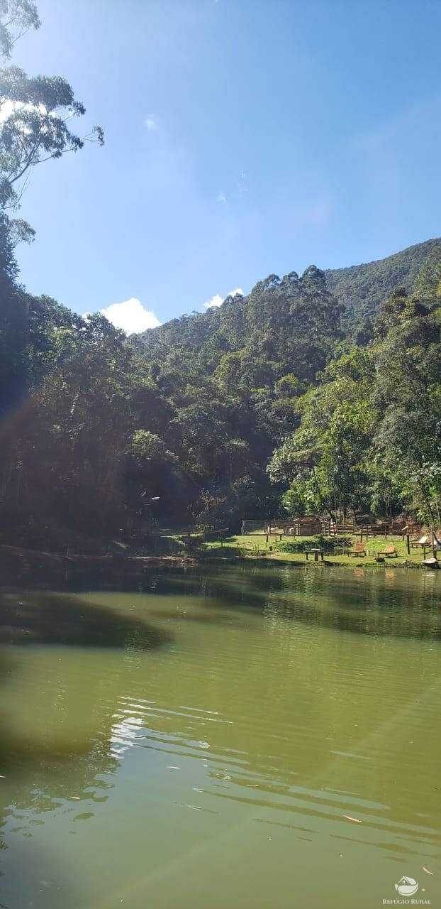 Fazenda à venda com 3 quartos, 83000m² - Foto 10