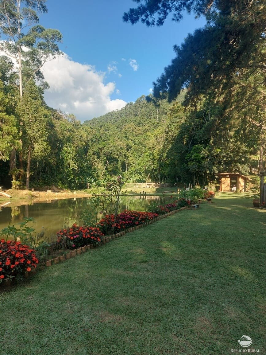 Fazenda à venda com 3 quartos, 83000m² - Foto 3