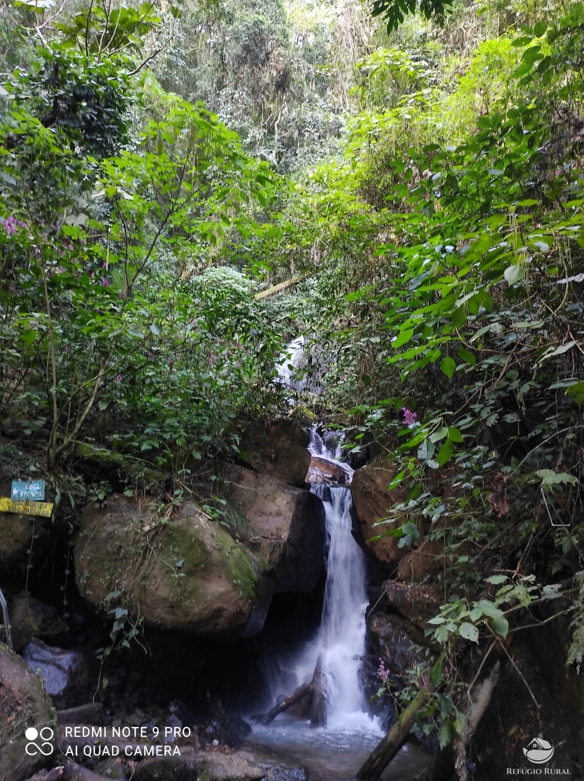 Fazenda à venda com 3 quartos, 83000m² - Foto 13