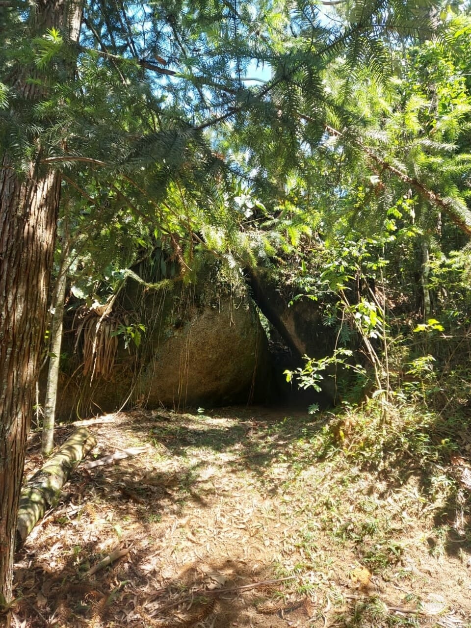 Fazenda à venda com 3 quartos, 83000m² - Foto 15