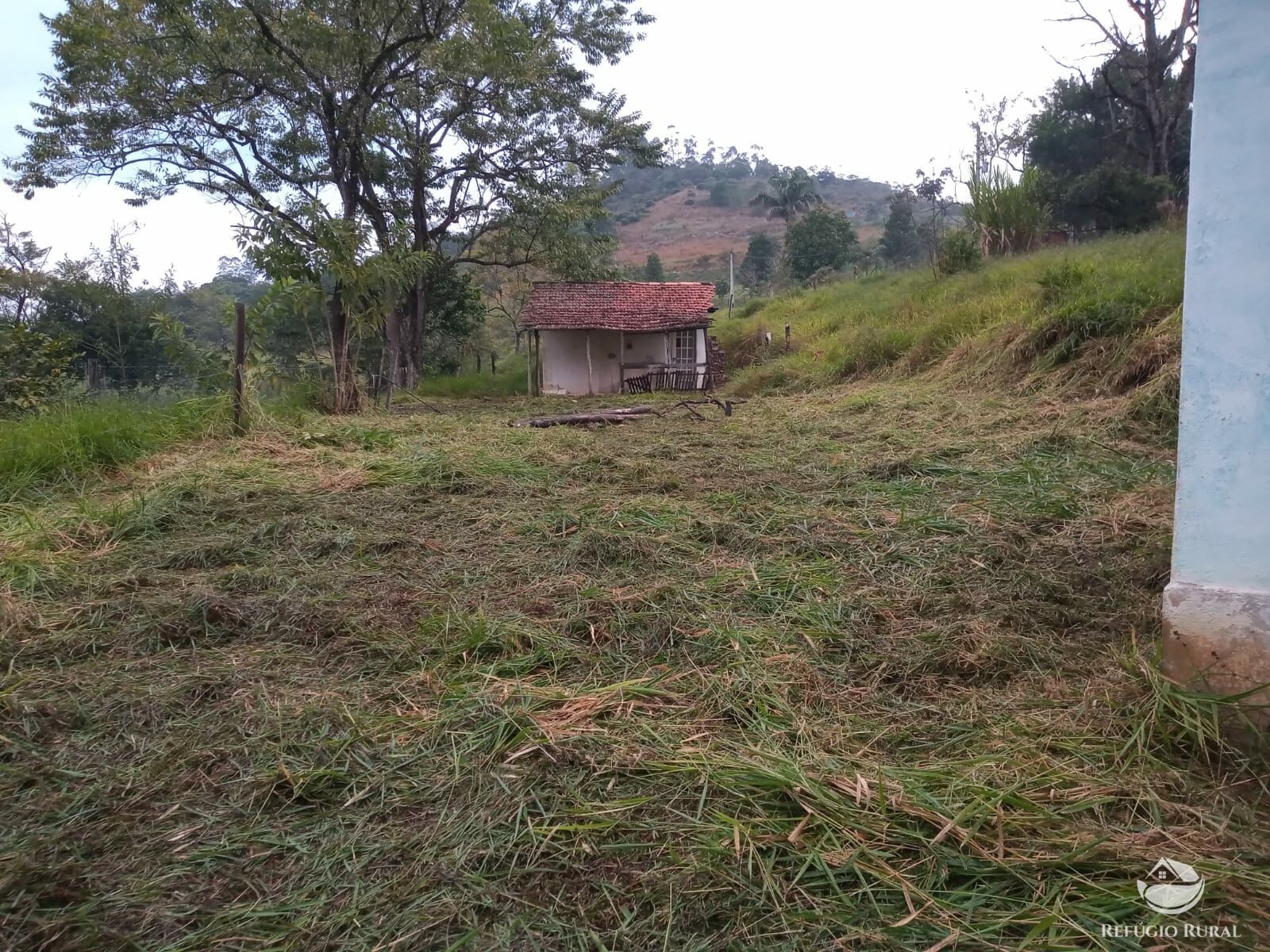 Fazenda à venda com 13 quartos, 39947m² - Foto 4