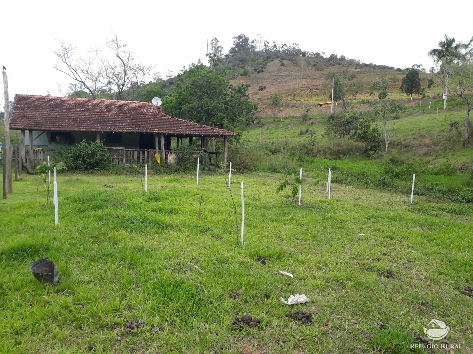 Fazenda à venda com 13 quartos, 39947m² - Foto 7