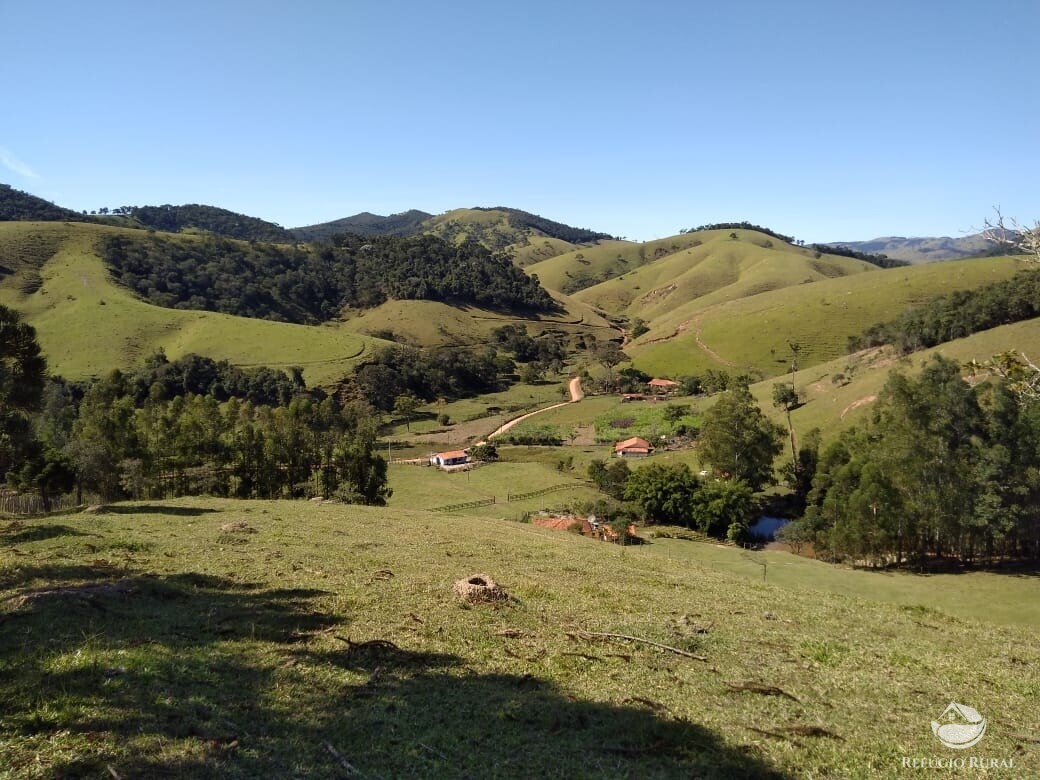 Fazenda à venda com 3 quartos, 36300m² - Foto 1