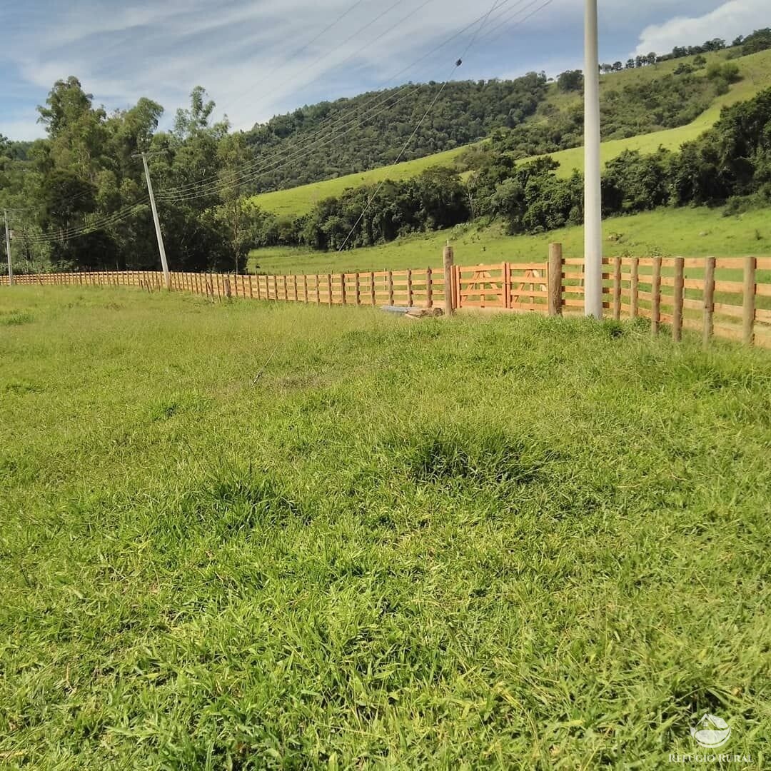 Fazenda à venda com 3 quartos, 36300m² - Foto 4