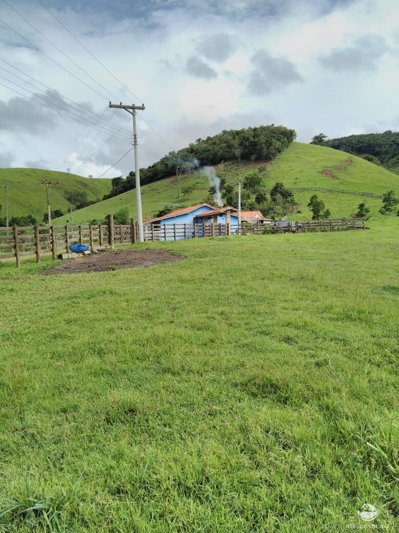 Fazenda à venda com 3 quartos, 36300m² - Foto 3