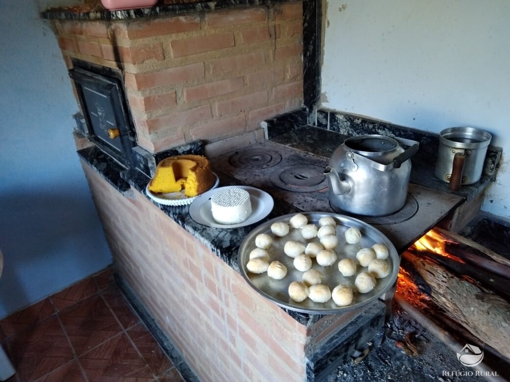 Fazenda à venda com 3 quartos, 36300m² - Foto 6