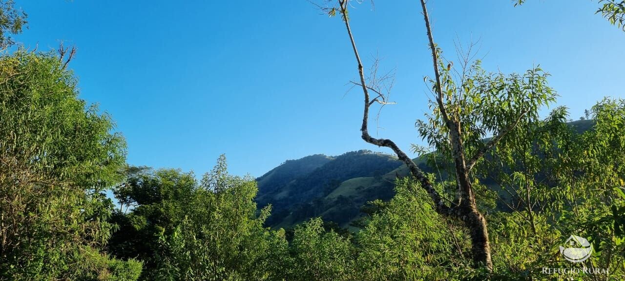 Terreno à venda, 24200m² - Foto 9