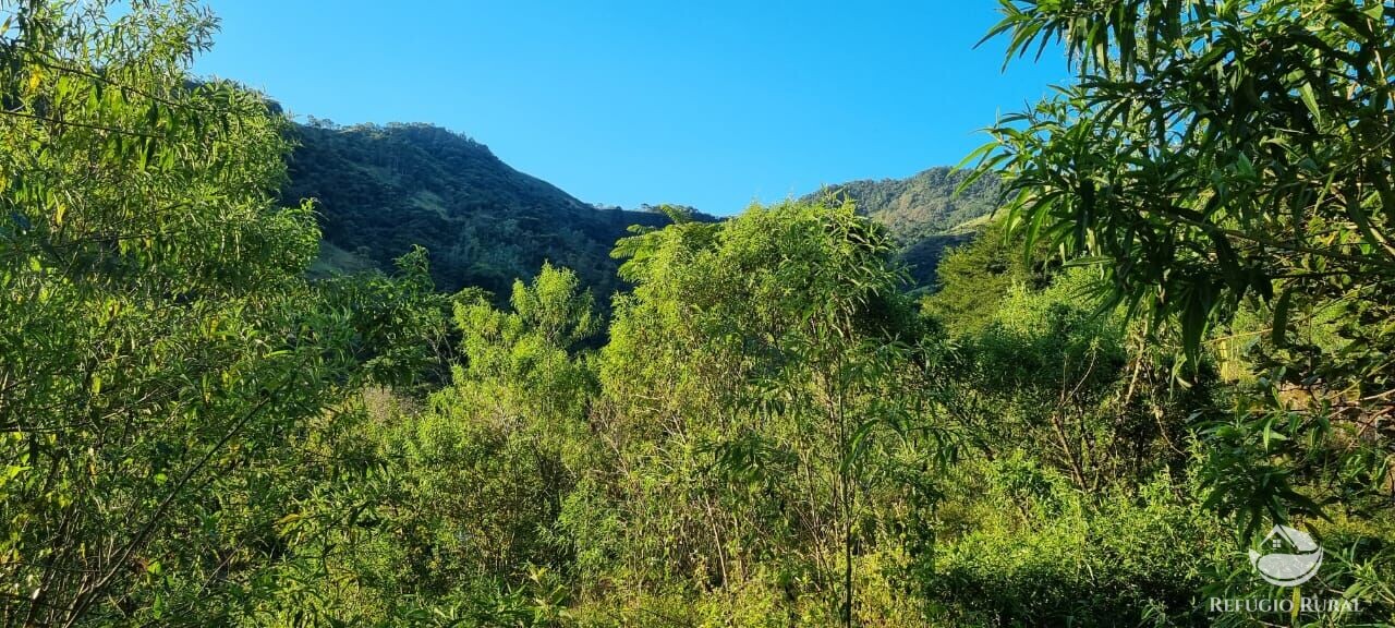 Terreno à venda, 24200m² - Foto 11