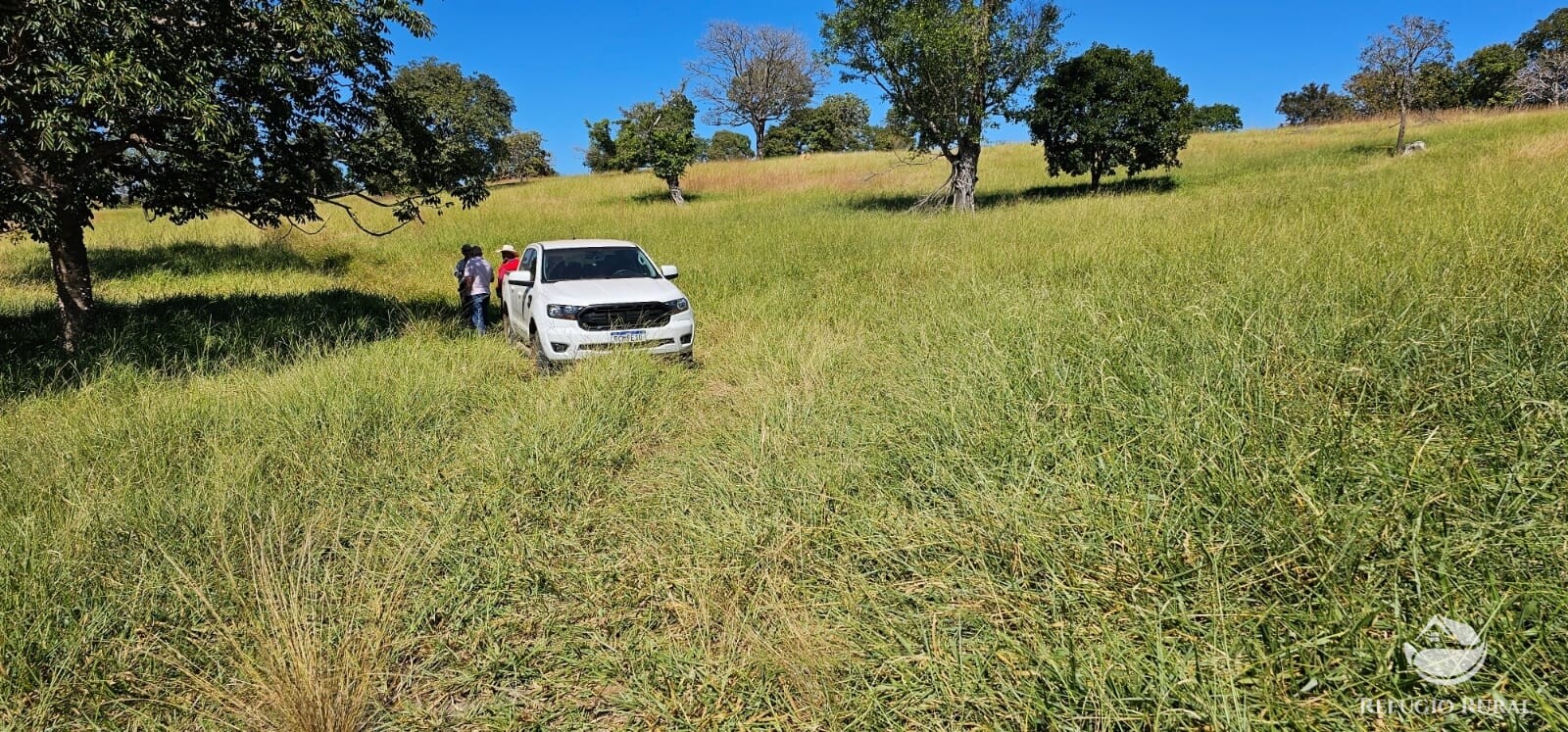 Fazenda à venda com 1 quarto, 6679200m² - Foto 41