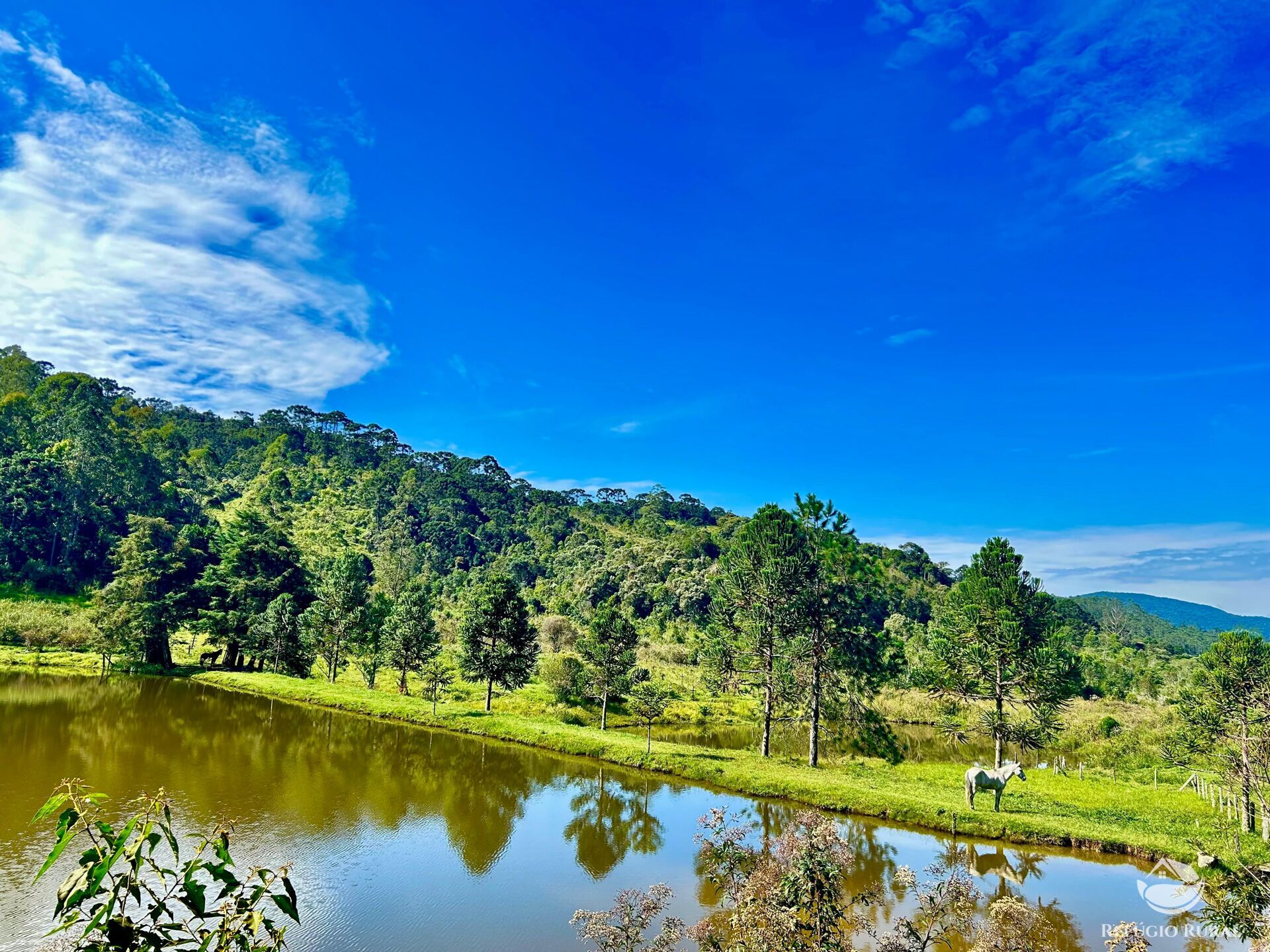 Fazenda à venda com 2 quartos, 1436600m² - Foto 1