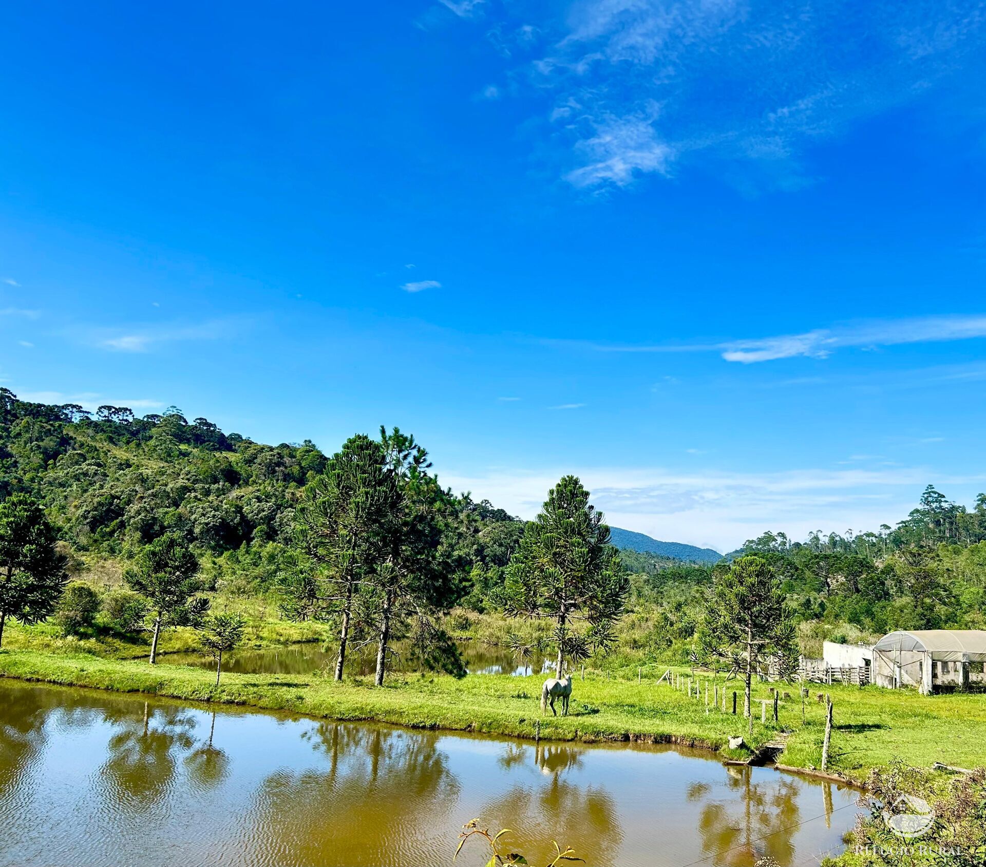 Fazenda à venda com 2 quartos, 1436600m² - Foto 27