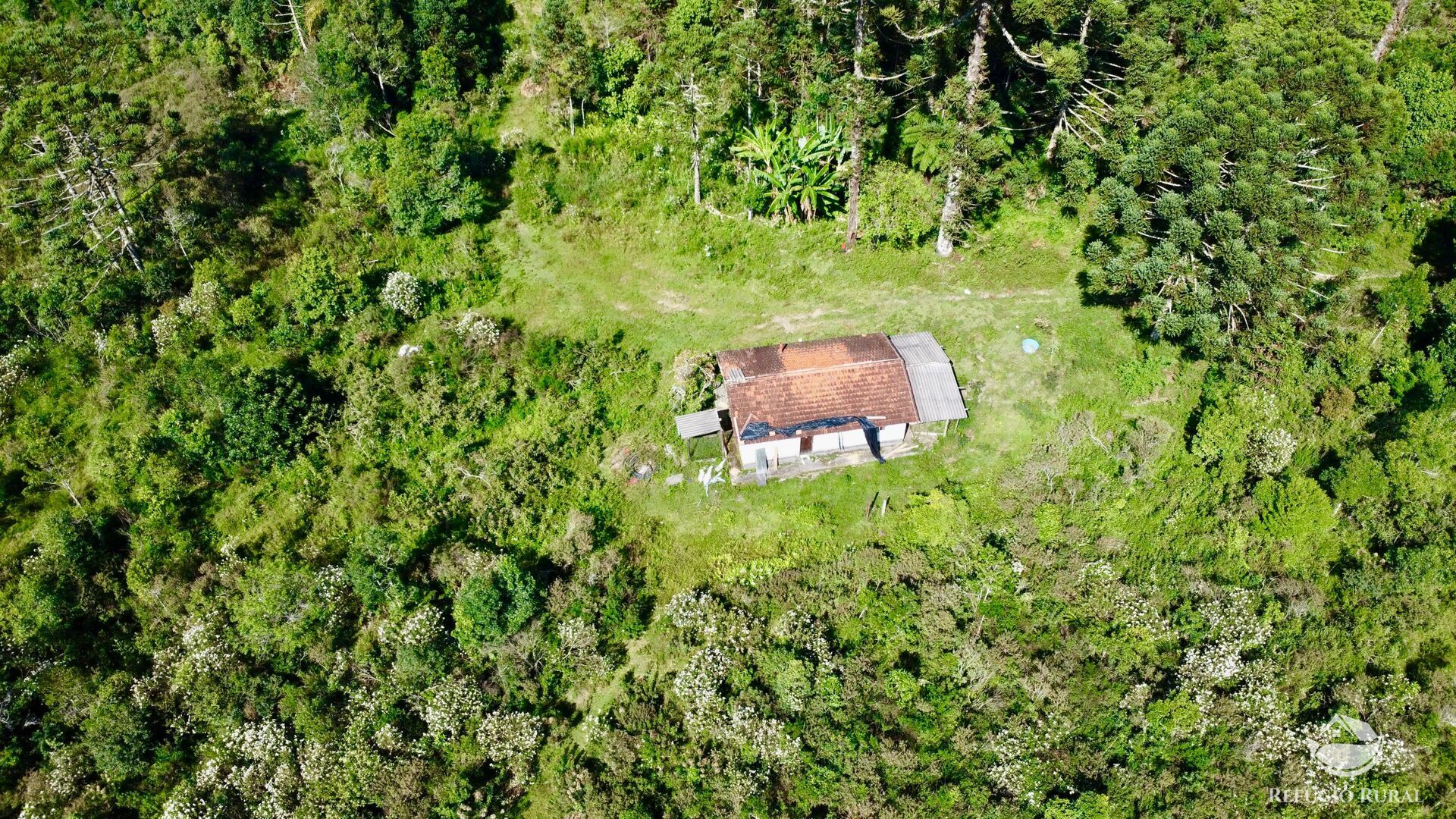 Fazenda à venda com 2 quartos, 1436600m² - Foto 7