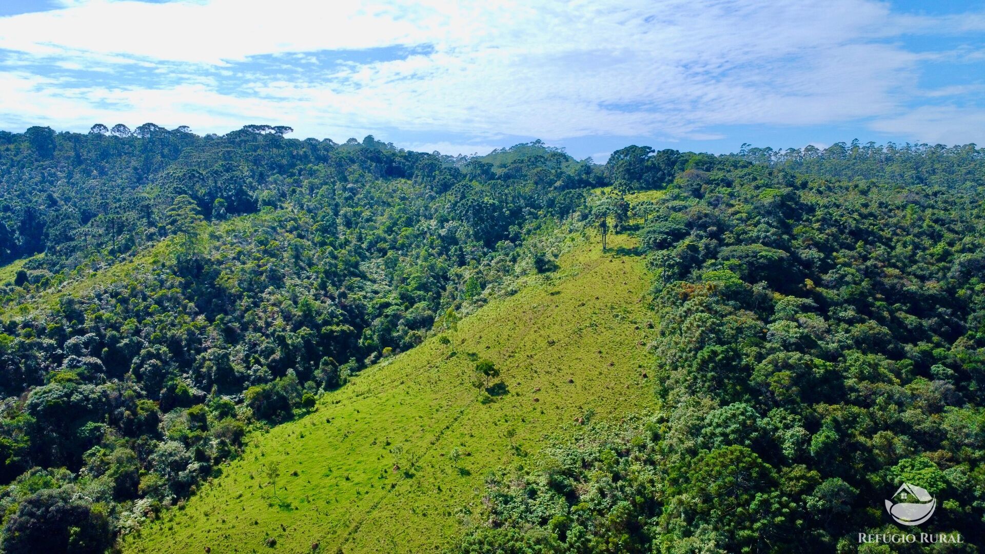 Fazenda à venda com 2 quartos, 1436600m² - Foto 13