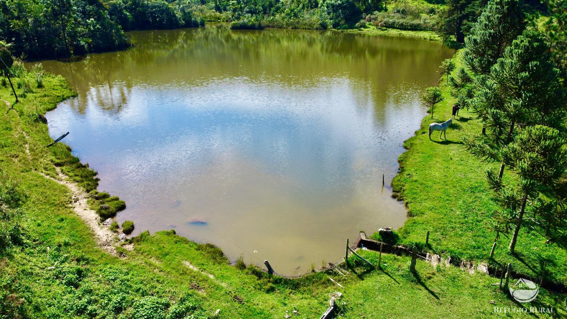 Fazenda à venda com 2 quartos, 1436600m² - Foto 4