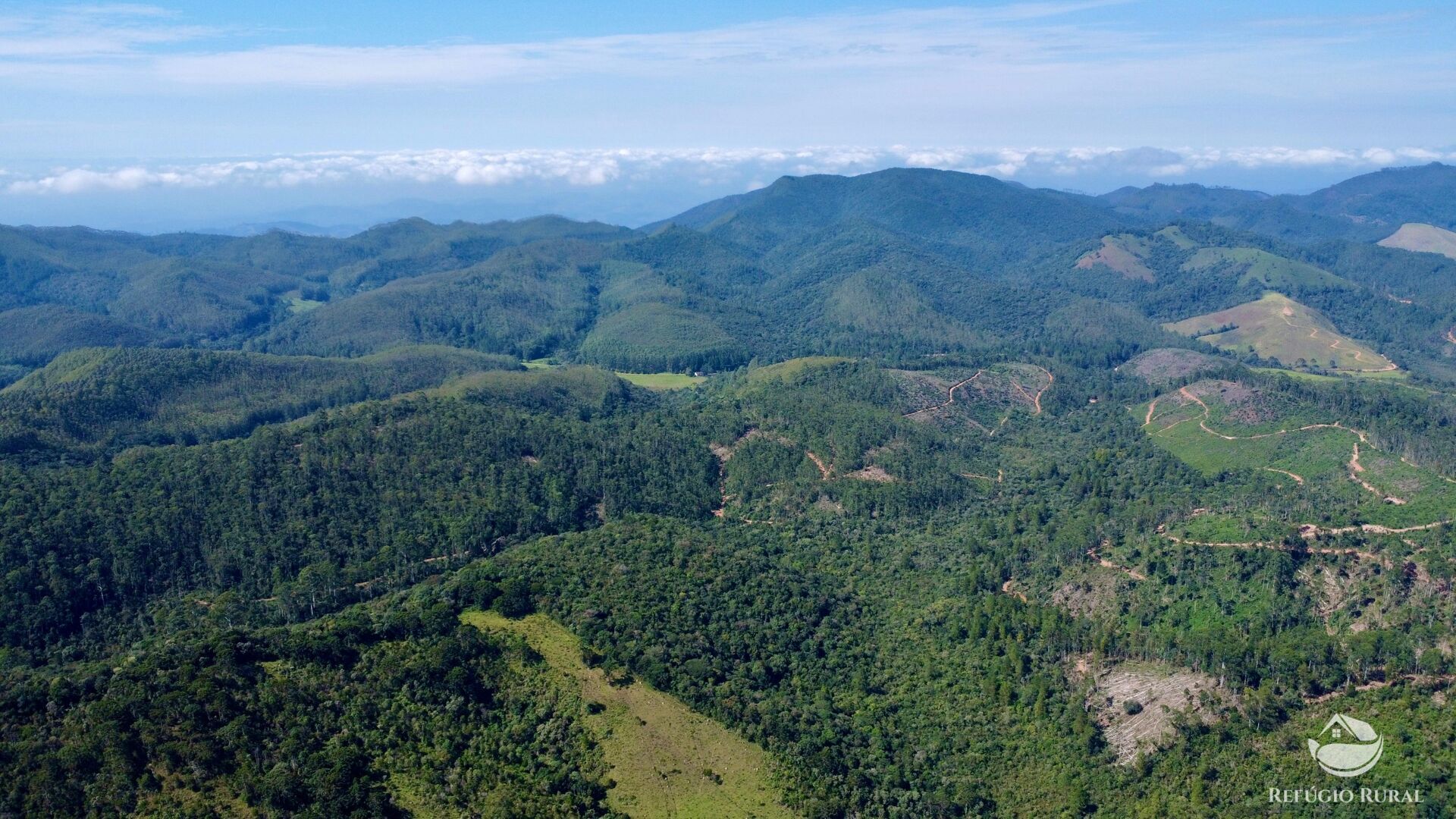 Fazenda à venda com 2 quartos, 1436600m² - Foto 15