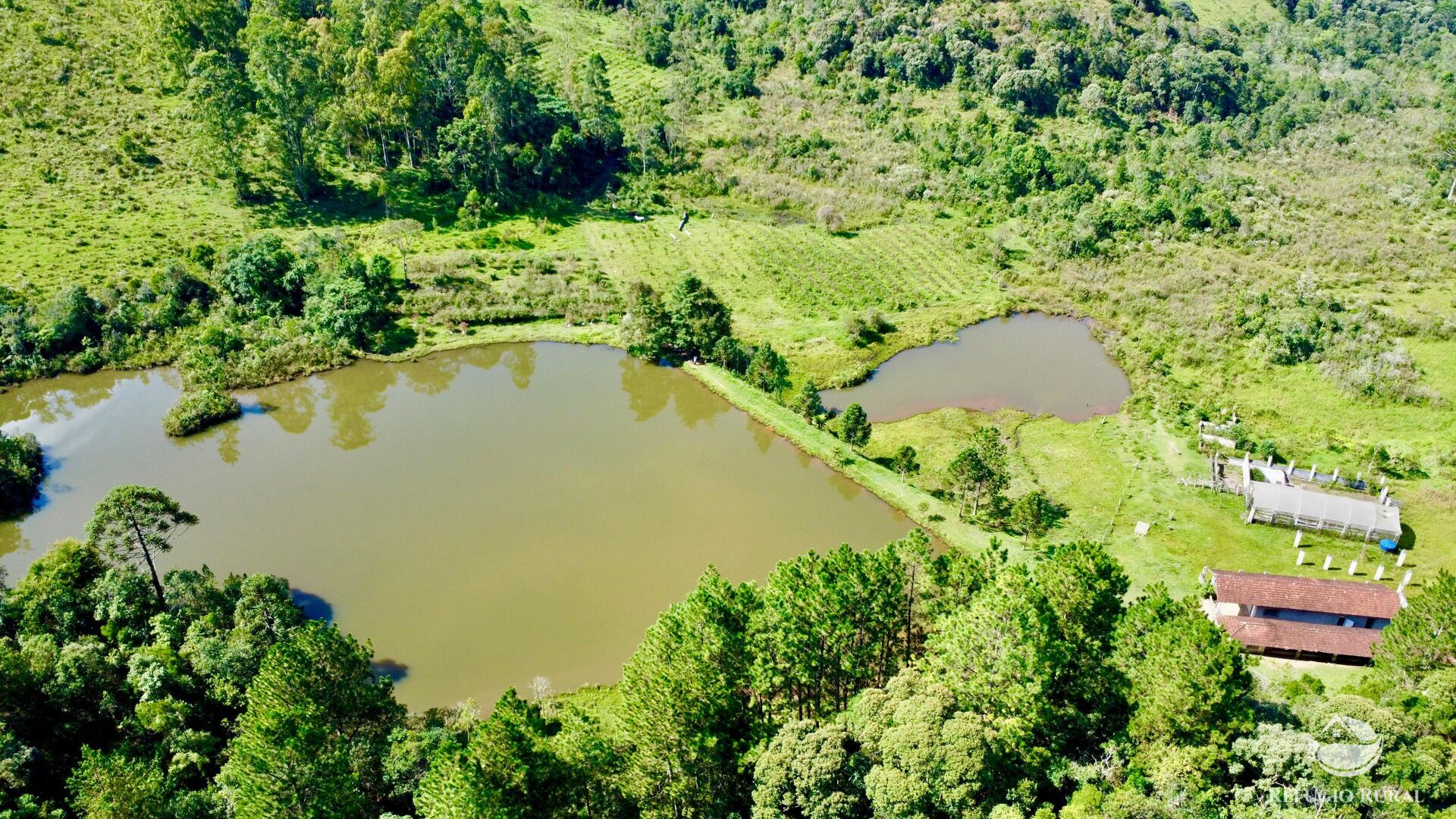 Fazenda à venda com 2 quartos, 1436600m² - Foto 6