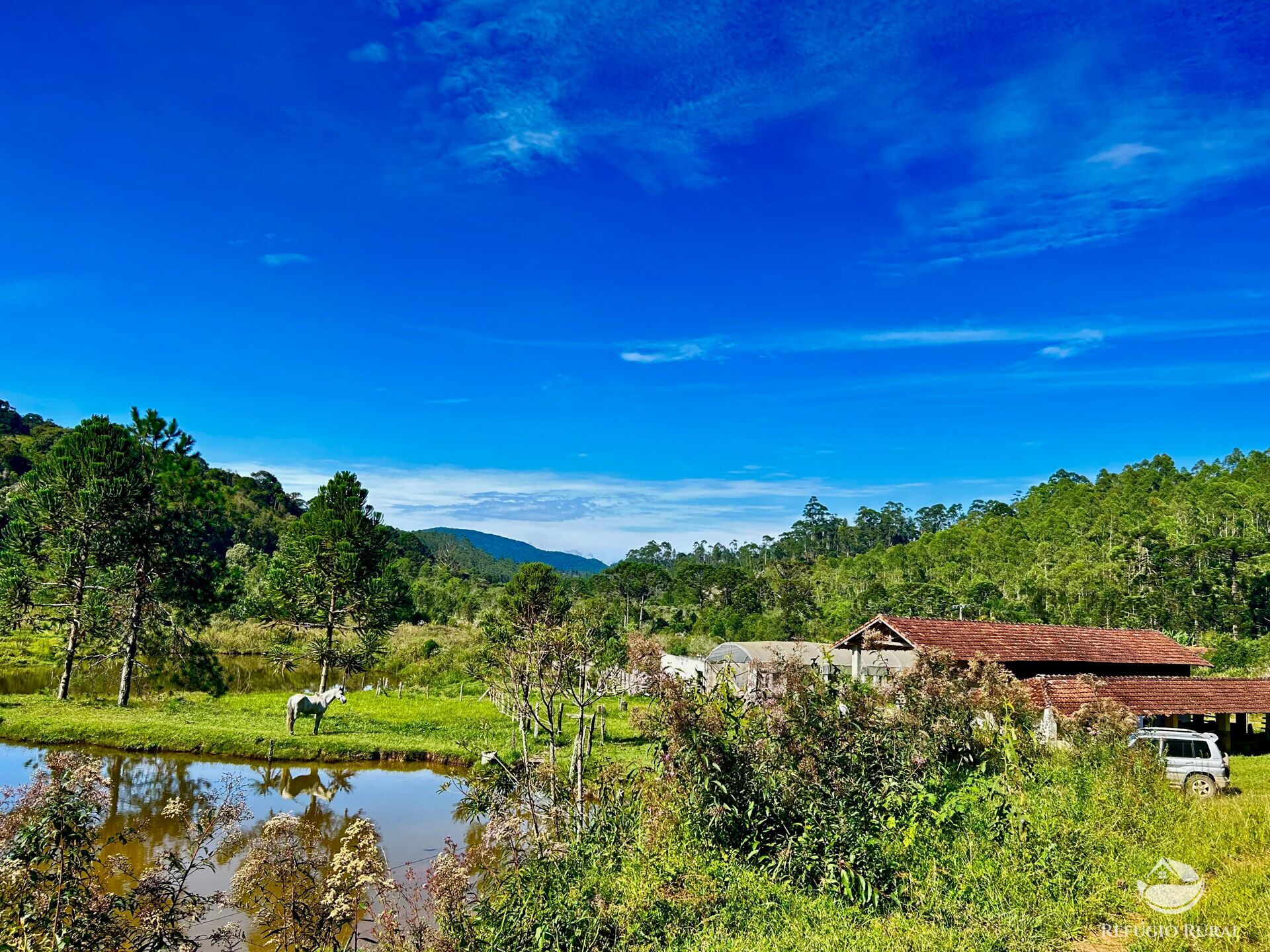 Fazenda à venda com 2 quartos, 1436600m² - Foto 11