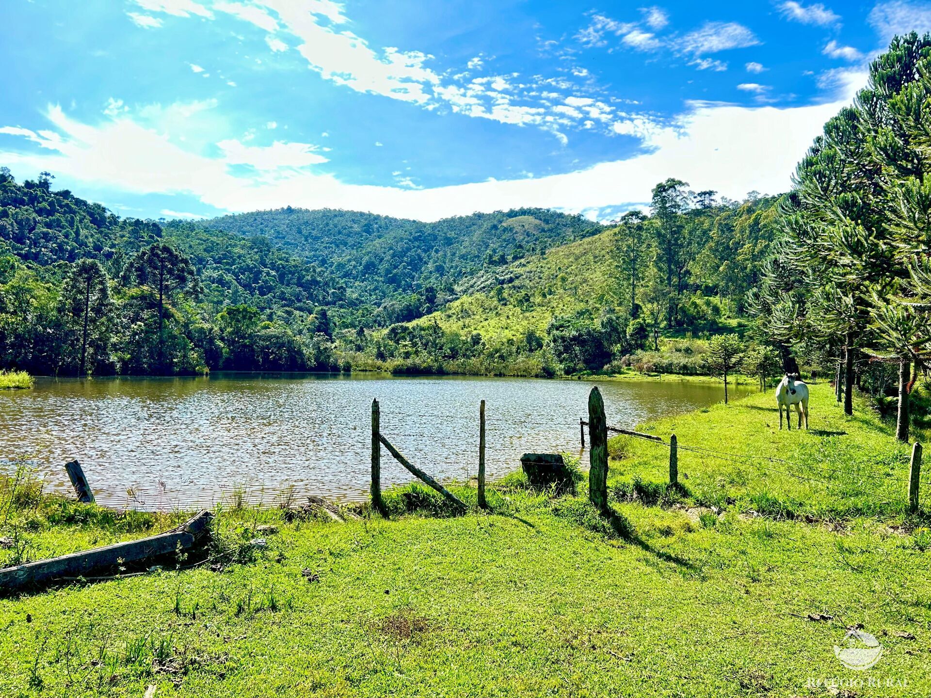 Fazenda à venda com 2 quartos, 1436600m² - Foto 25