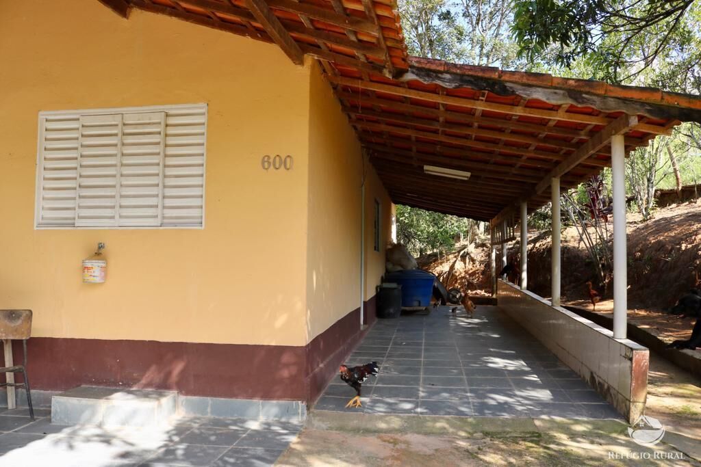 Fazenda à venda com 3 quartos, 20685m² - Foto 11